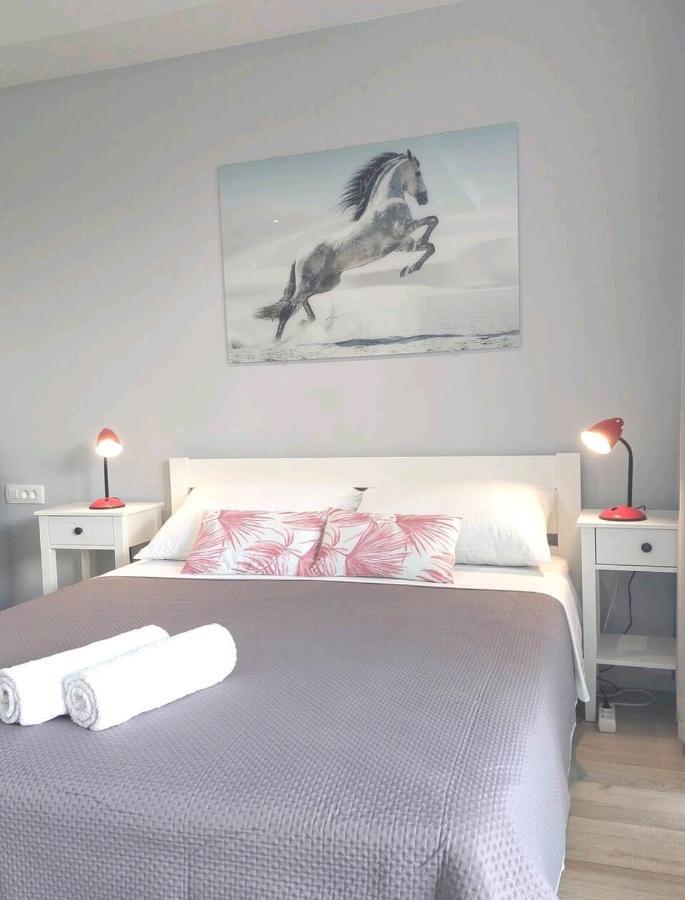 Gorgeous Dubrovnik Sea View Apartment With Free Parking מראה חיצוני תמונה